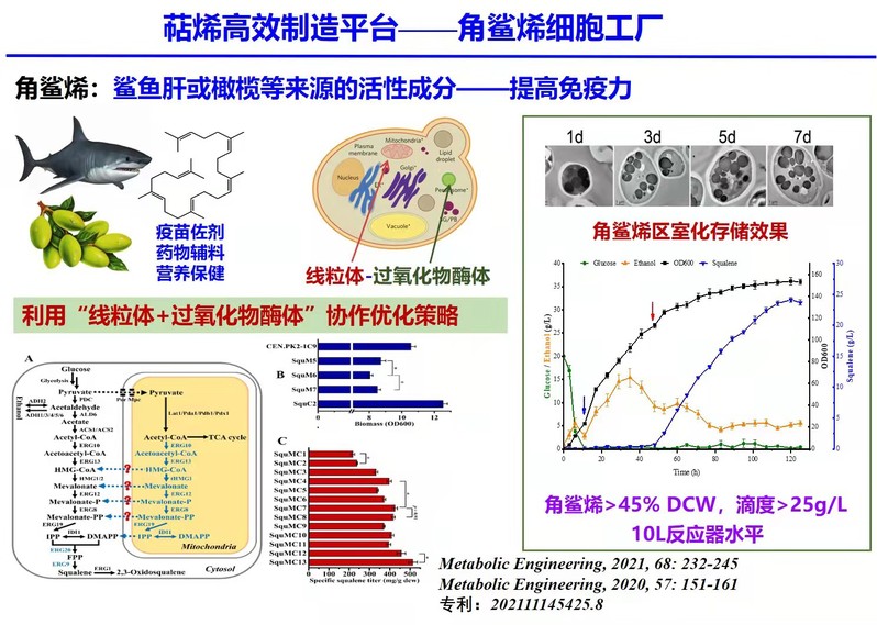 突破綠色化工瓶頸 《代謝工程》報(bào)道我校萜烯高產(chǎn)細(xì)胞工廠開(kāi)發(fā)的最新進(jìn)展與生物防治技術(shù)服務(wù)前景